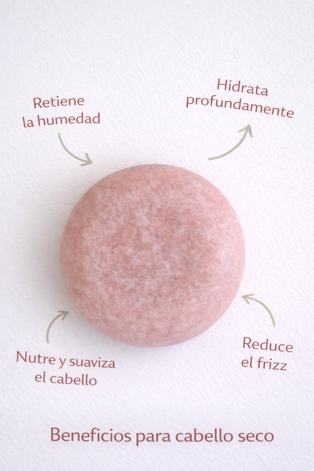 Champu solido para cabello seco y maltratado