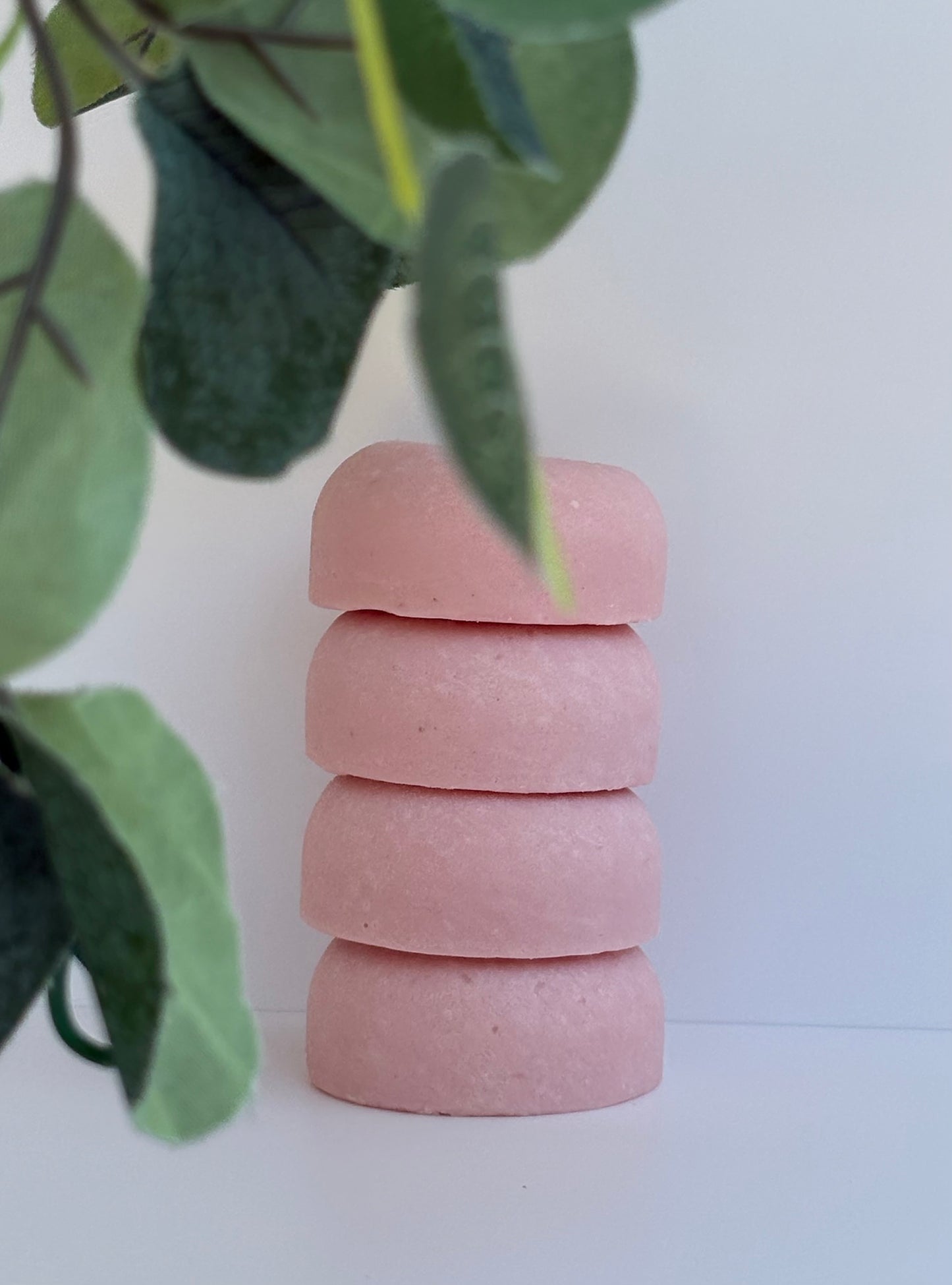 Champu solido para cabello seco y maltratado